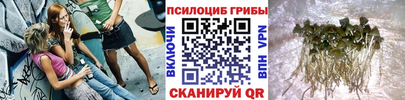 купить   Гремячинск  hydra как зайти  Галлюциногенные грибы Magic Shrooms 